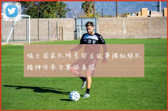 瑞士国家队绰号背后故事揭秘球队精神传承与赛场表现