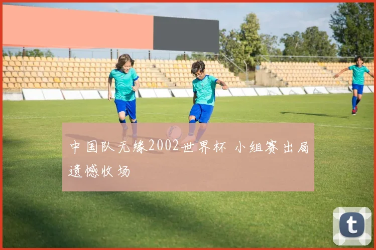 中国队无缘2002世界杯 小组赛出局遗憾收场