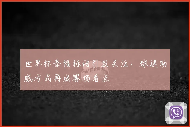 世界杯条幅标语引发关注，球迷助威方式再成赛场看点